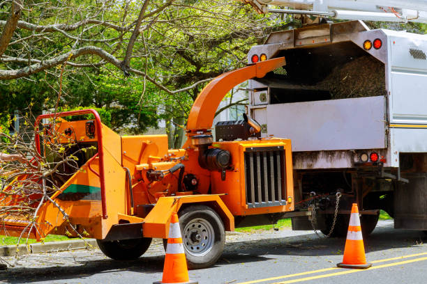 Best Tree Care Services  in Fuquay Varina, NC